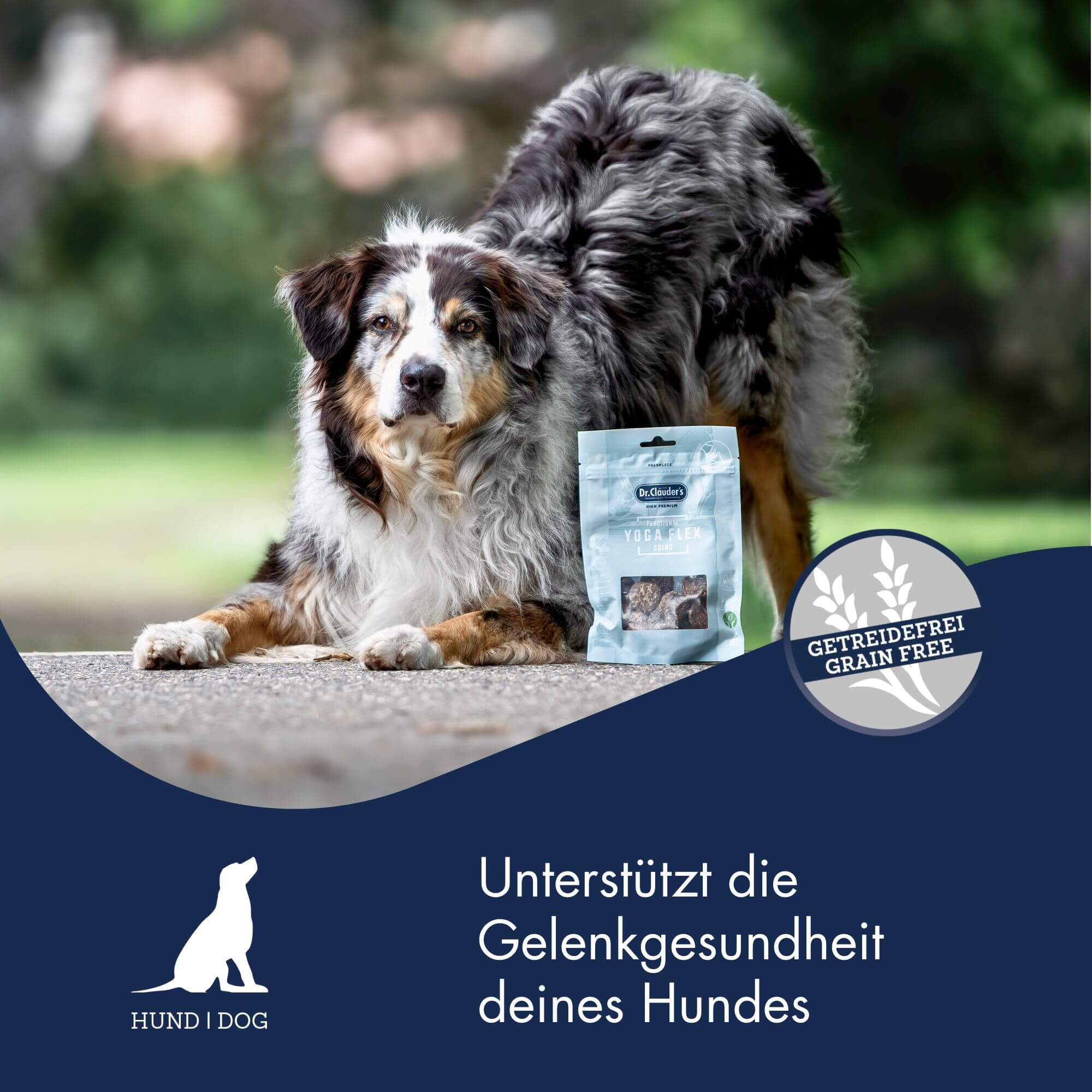 Functional Coins Yoga Flex