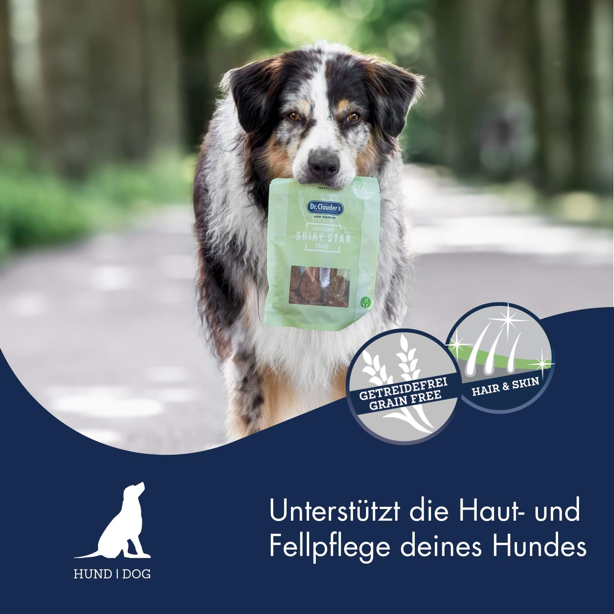 Functional Coins Shiny Star