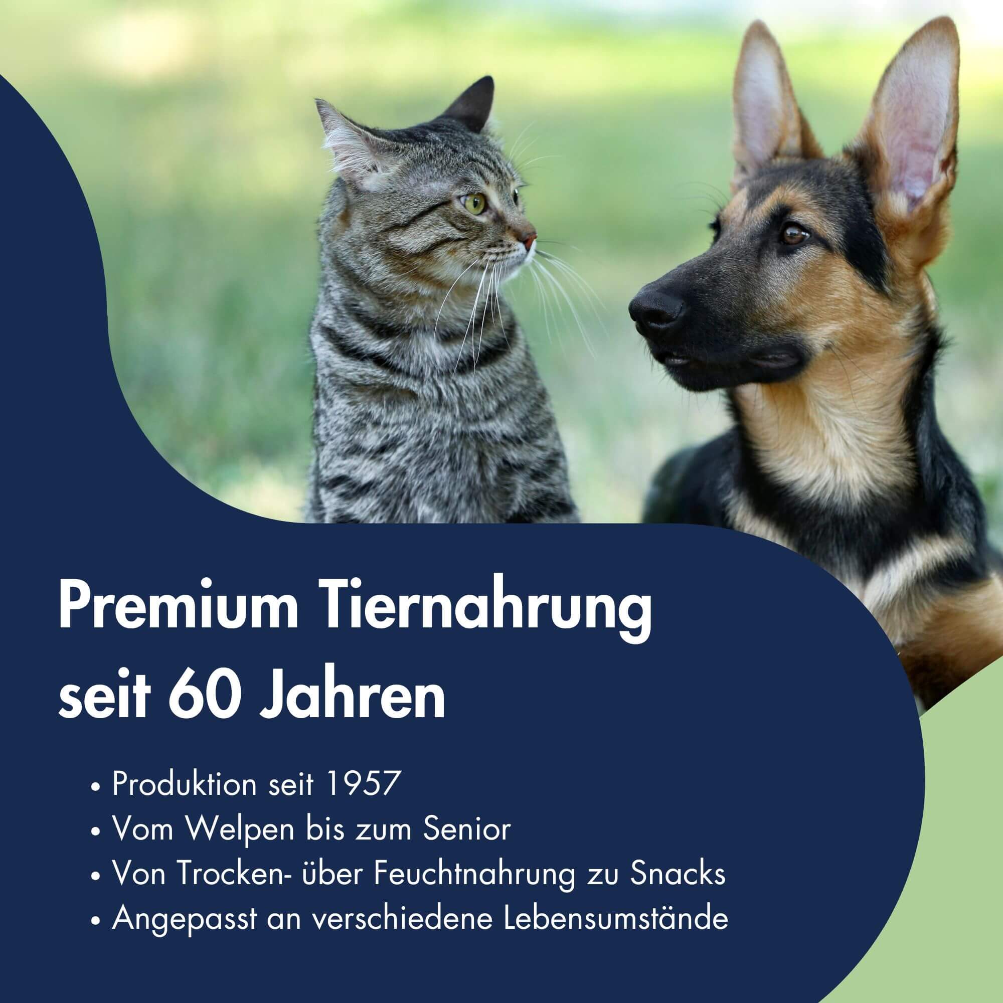 Functional Coins Shiny Star