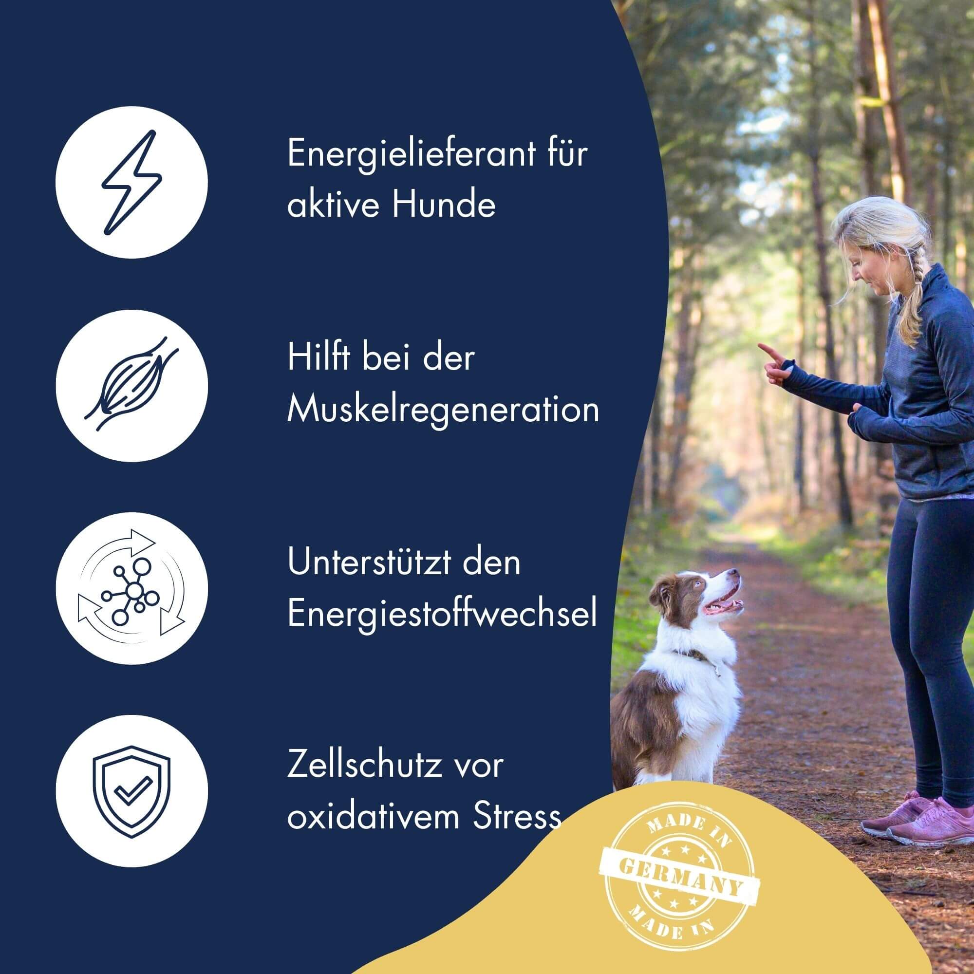 Functional Coins Power Sprint