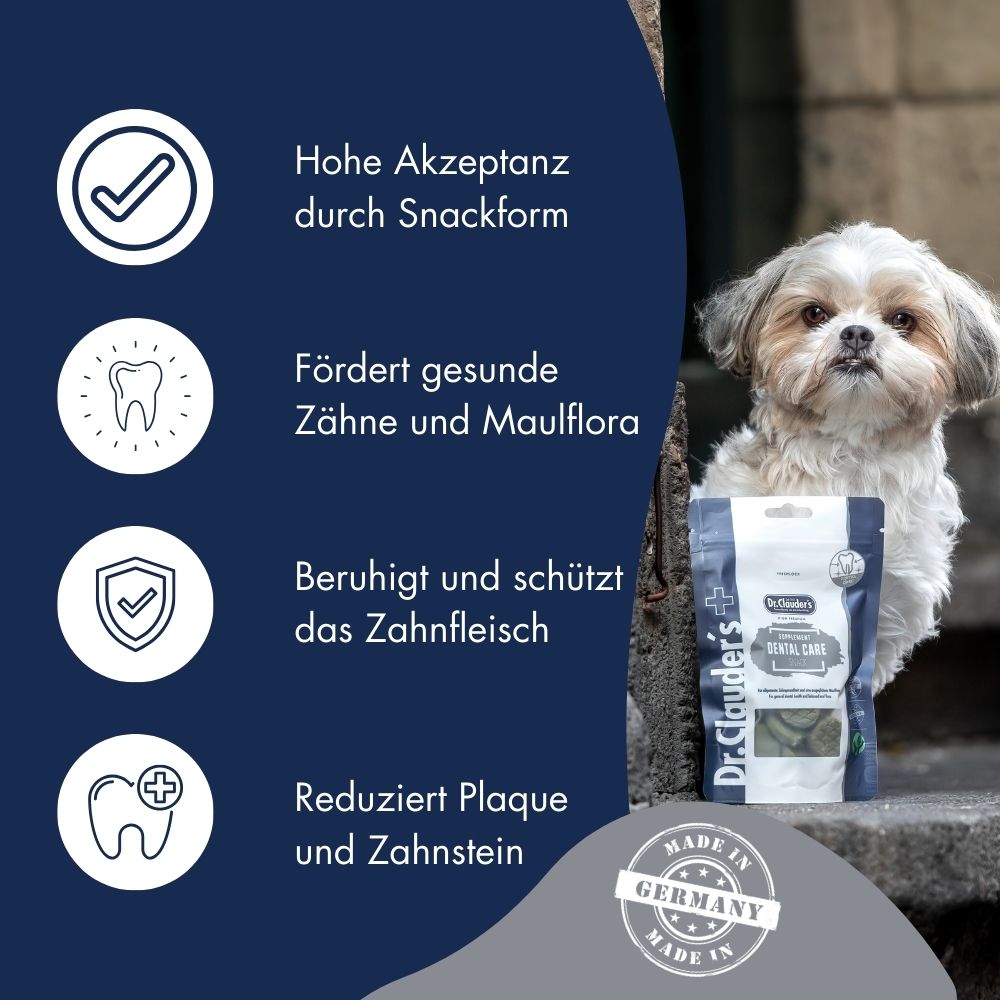 Supplement Snack Dental Care