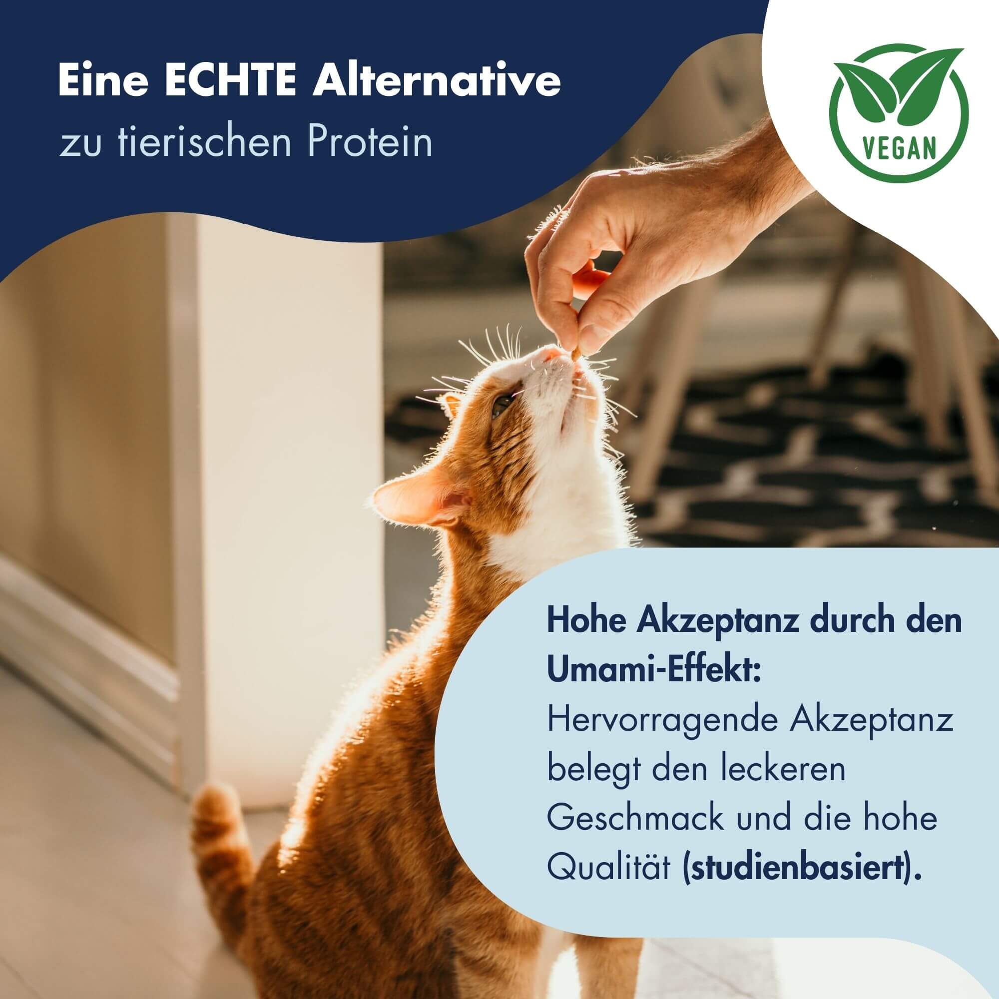 Trainee Snack Cultivated Protein