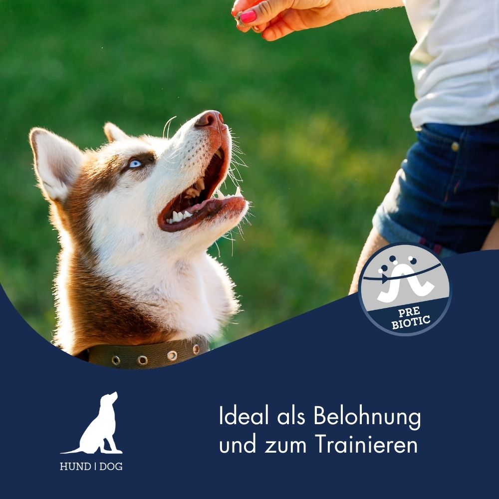 Dr.Clauder´s Trainee Snack Kaninchen