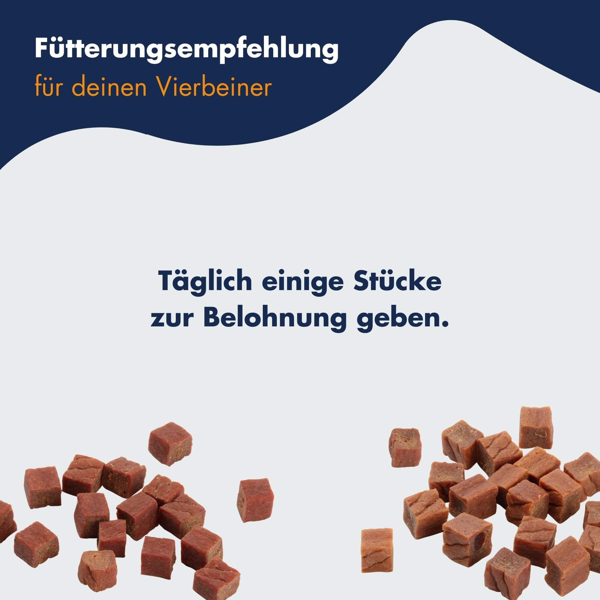 Dr.Clauder´s Trainee Snack Mega Mix 2