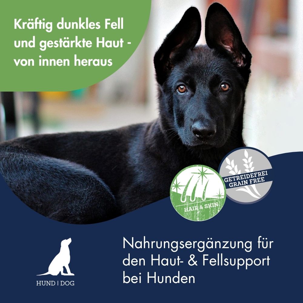 Pigment Aktiv Algosan