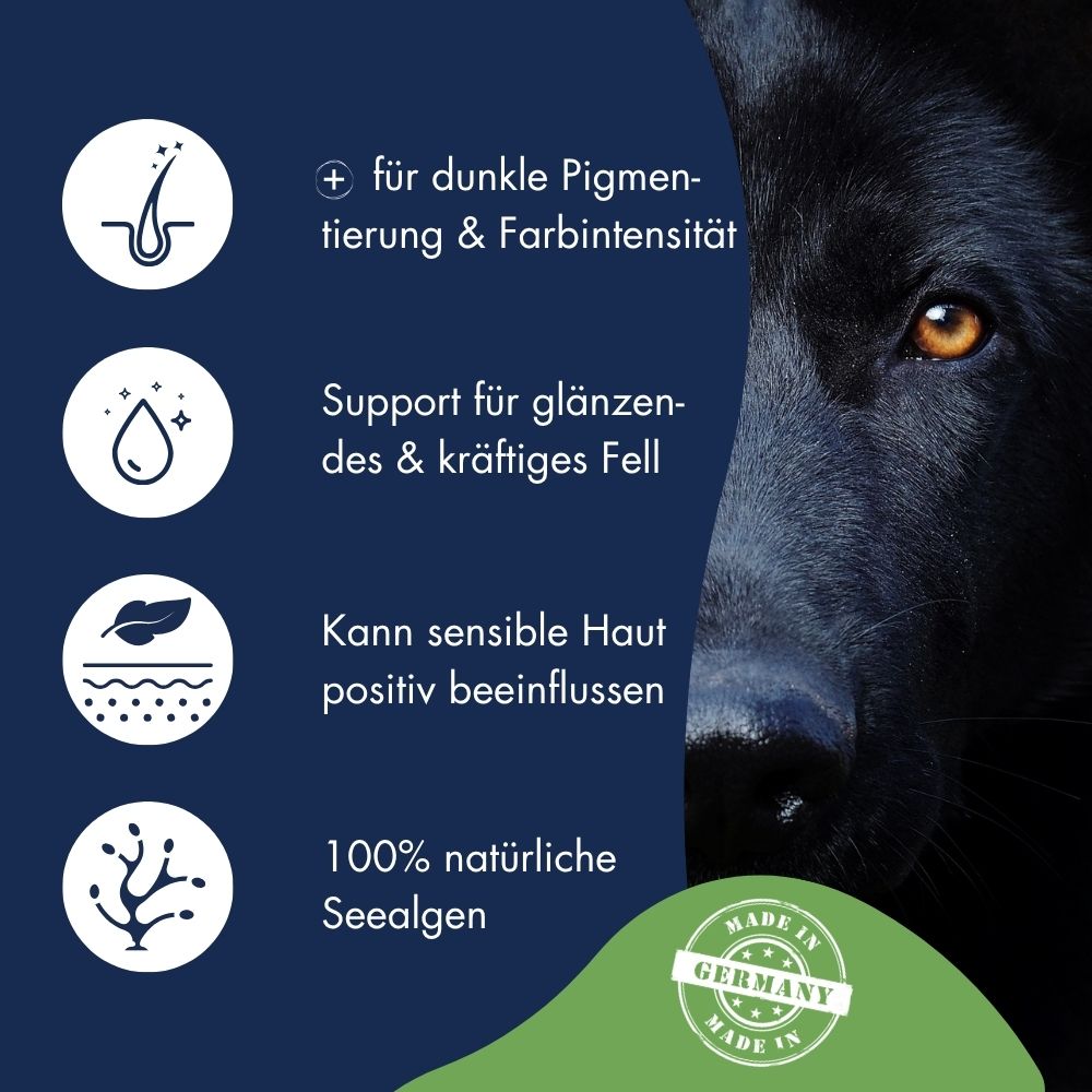 Pigment Aktiv Algosan