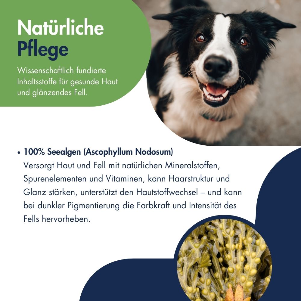 Pigment Aktiv Algosan