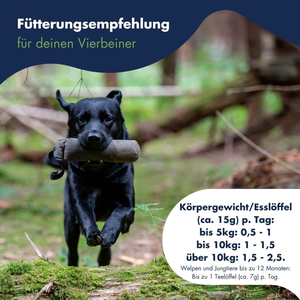 Pigment Aktiv Algosan