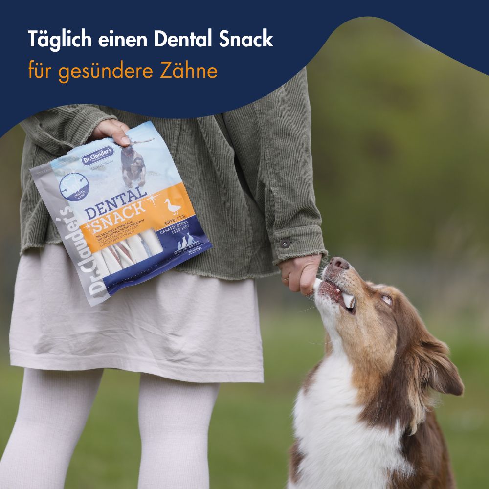 Dr.Clauder´s Dental Snack Ente - Large Breed